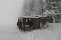 Shotcut_00_12_57_224